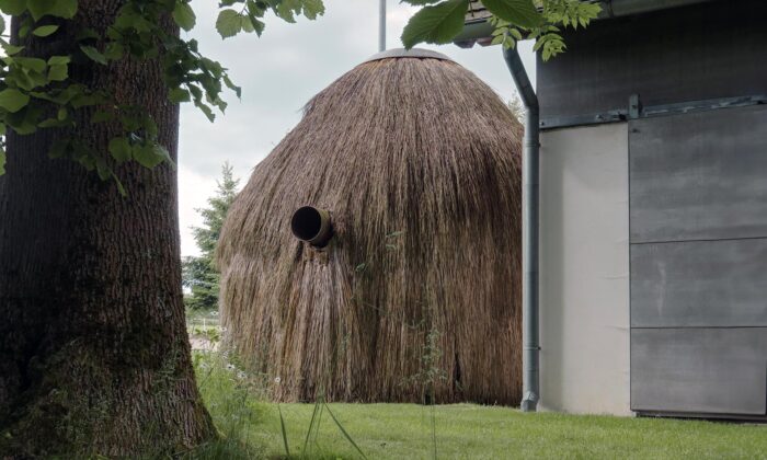 U vesnického stavení v jihočeské obci Alenina Lhota vznikla nenápadná sauna Kupka