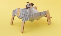 Architecture for Dogs