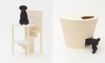 Architecture for Dogs