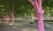 Yayoi Kusama v NGV v Melbourne