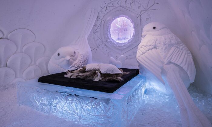 IceHotel se po roce znovu otevřel s obřadní síní a 12 pokoji vyzdobenými motivy nosorožce i obřích ptáků